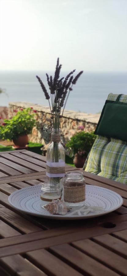 Villa Nereid Glafki - Enjoy Summer Sunsets Áyios Nikítas Eksteriør bilde